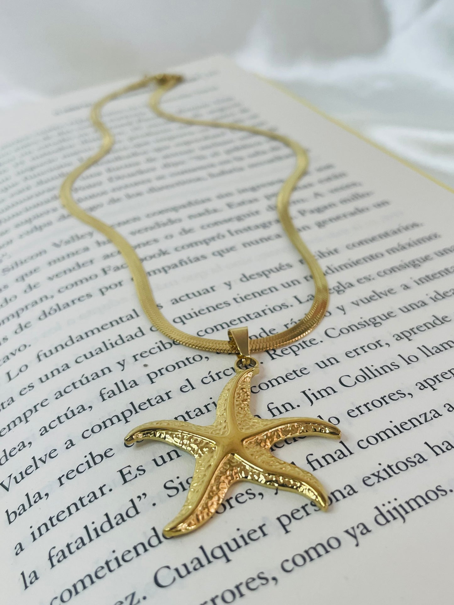 Collar de Estrella de Mar en Stainless Steel
